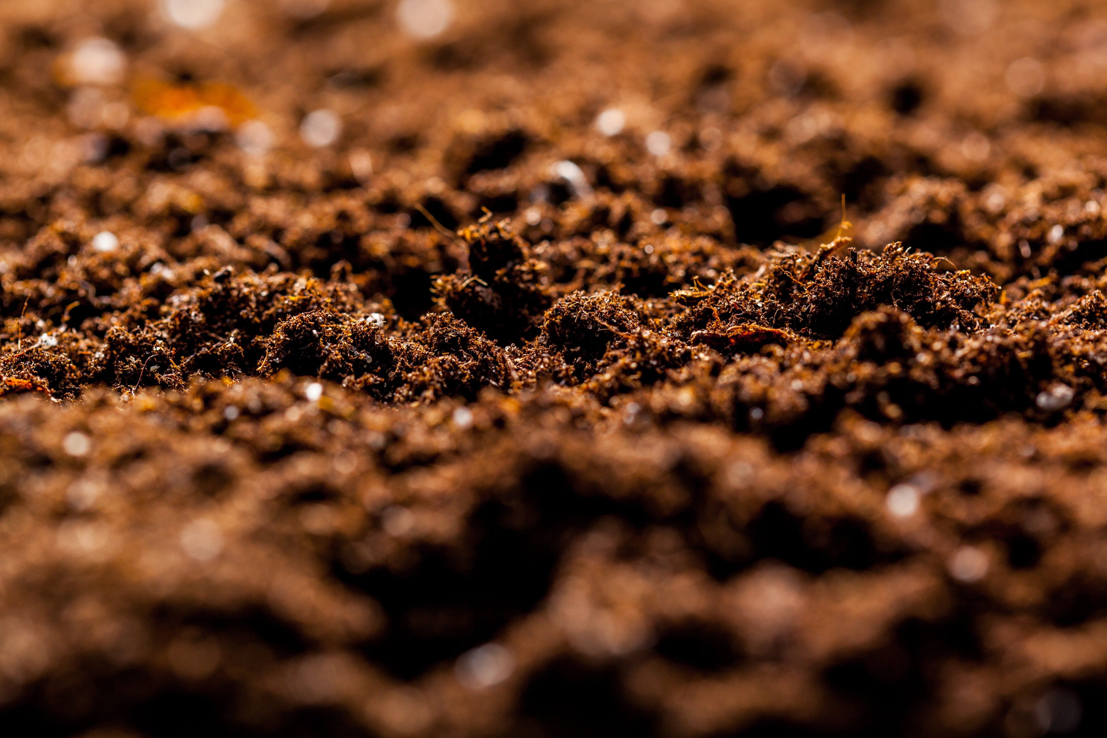 Soil Vigor